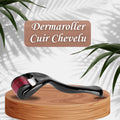 Dermaroller Cuir Chevelu
